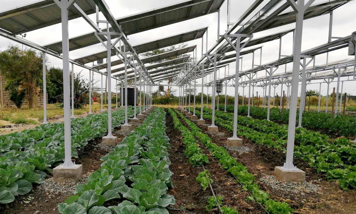 Agricultural Solar